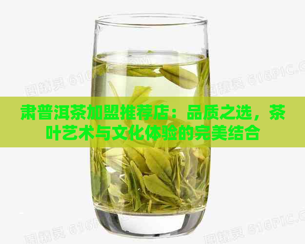 肃普洱茶加盟推荐店：品质之选，茶叶艺术与文化体验的完美结合