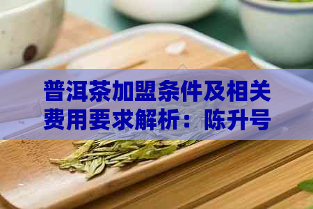 普洱茶加盟条件及相关费用要求解析：陈升号普洱茶加盟详情