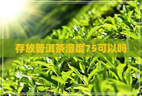 存放普洱茶湿度75可以吗