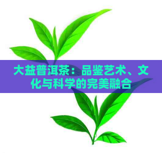 大益普洱茶：品鉴艺术、文化与科学的完美融合