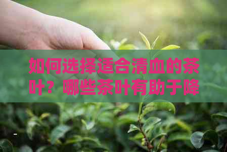 如何选择适合清血的茶叶？哪些茶叶有助于降低血脂和促进血液循环？