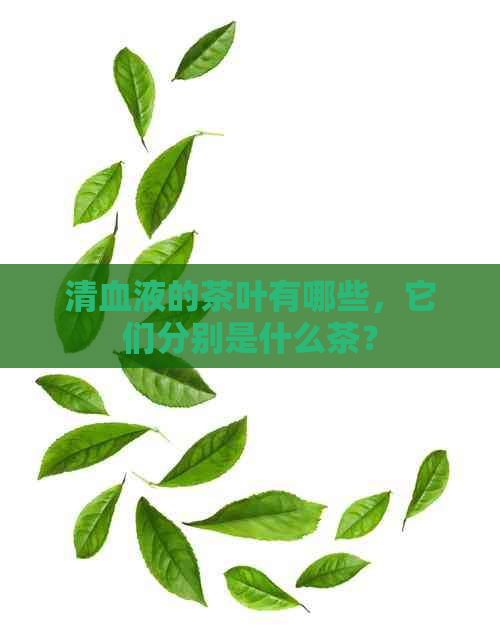 清血液的茶叶有哪些，它们分别是什么茶？