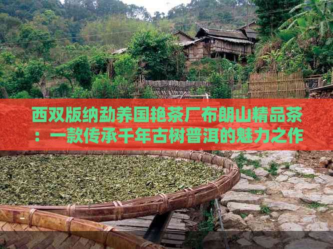 西双版纳勐养国艳茶厂布朗山精品茶：一款传承千年古树普洱的魅力之作