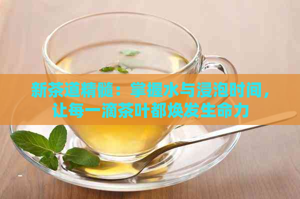 新茶道精髓：掌握水与浸泡时间，让每一滴茶叶都焕发生命力