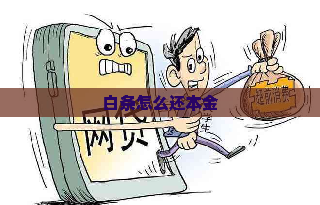 白条怎么还本金