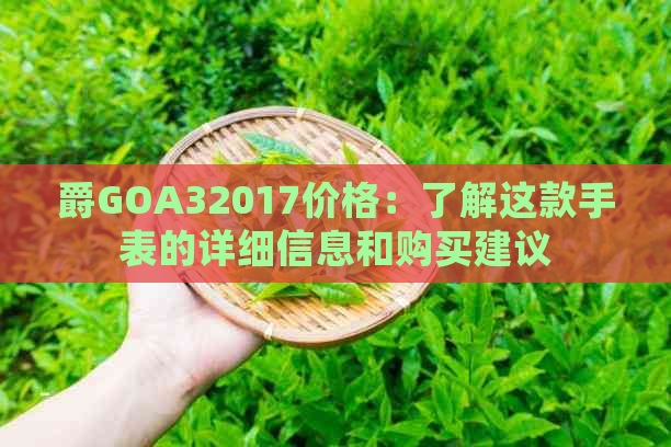 爵GOA32017价格：了解这款手表的详细信息和购买建议