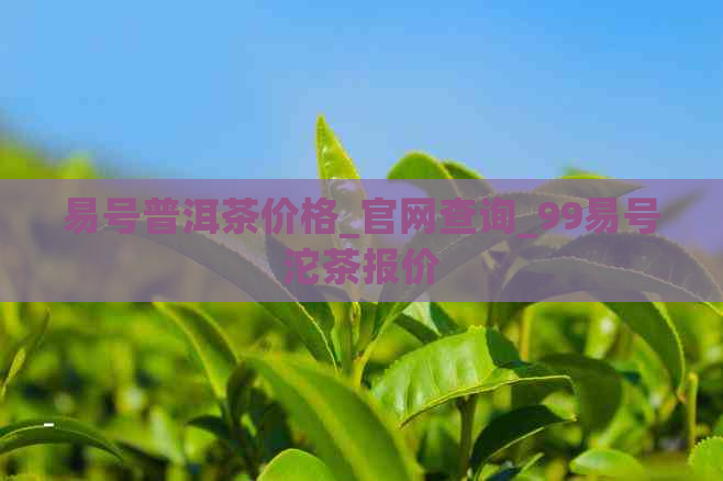 易号普洱茶价格_官网查询_99易号沱茶报价