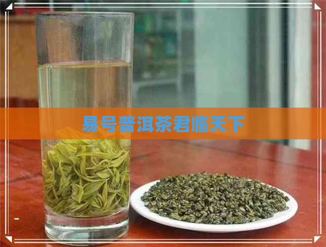 易号普洱茶君临天下