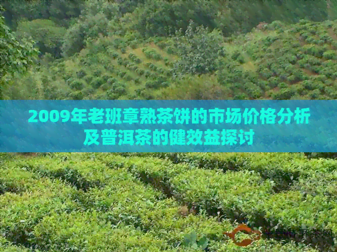 2009年老班章熟茶饼的市场价格分析及普洱茶的健效益探讨