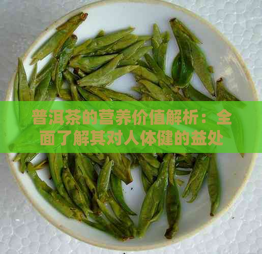 普洱茶的营养价值解析：全面了解其对人体健的益处