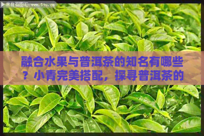 融合水果与普洱茶的知名有哪些？小青完美搭配，探寻普洱茶的新口感