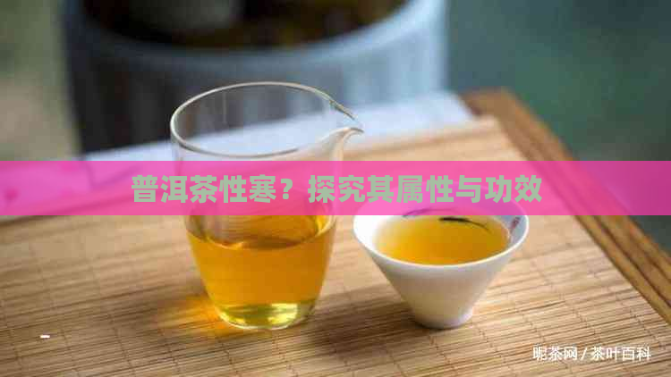 普洱茶性寒？探究其属性与功效