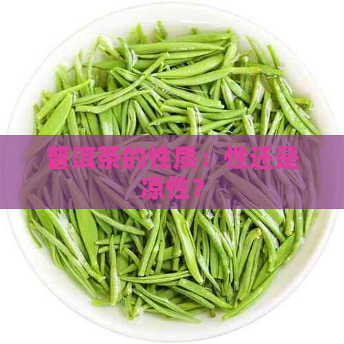 普洱茶的性质：性还是凉性？