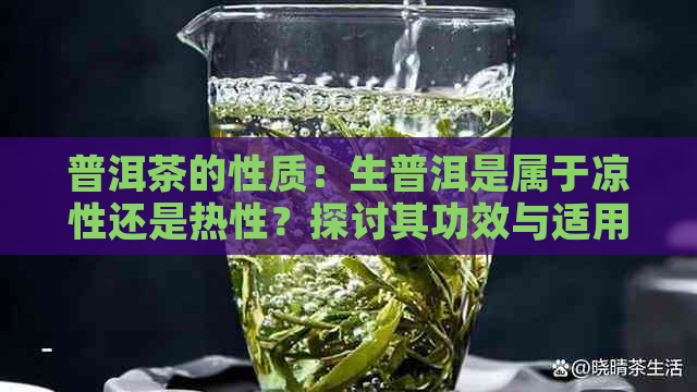 普洱茶的性质：生普洱是属于凉性还是热性？探讨其功效与适用人群