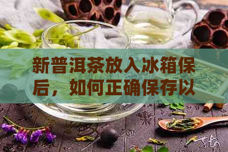 新普洱茶放入冰箱保后，如何正确保存以保持其品质和口感？