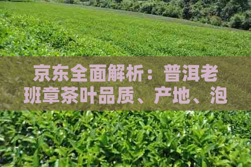 京东全面解析：普洱老班章茶叶品质、产地、泡法及购买指南