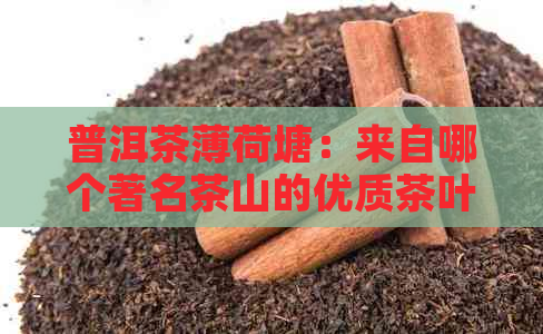 普洱茶薄荷塘：来自哪个著名茶山的优质茶叶？