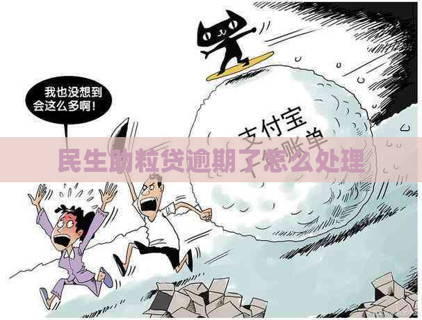 民生助粒贷逾期了怎么处理