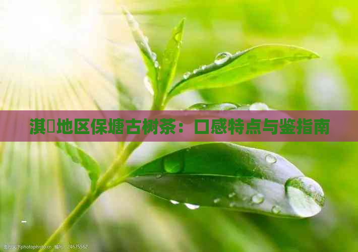 淇濆地区保塘古树茶：口感特点与鉴指南