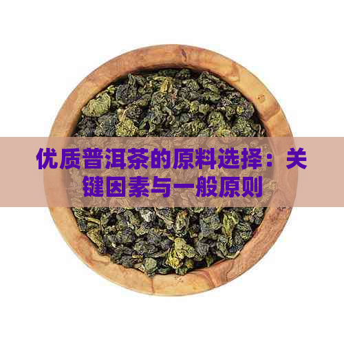 优质普洱茶的原料选择：关键因素与一般原则