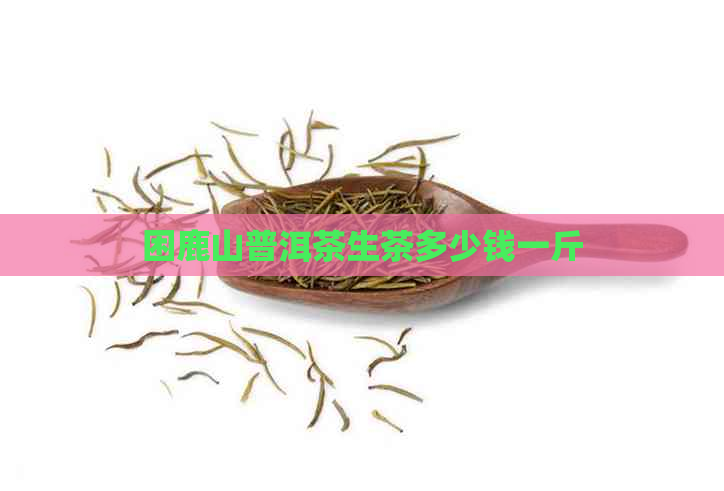 困鹿山普洱茶生茶多少钱一斤