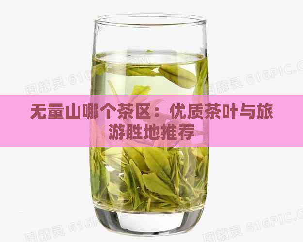 无量山哪个茶区：优质茶叶与旅游胜地推荐