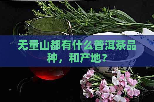 无量山都有什么普洱茶品种，和产地？