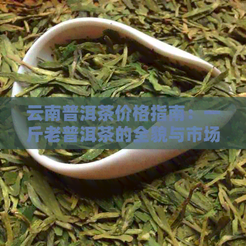 云南普洱茶价格指南：一斤老普洱茶的全貌与市场行情解析