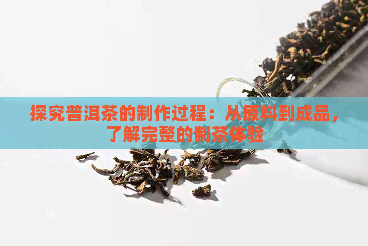 探究普洱茶的制作过程：从原料到成品，了解完整的制茶体验