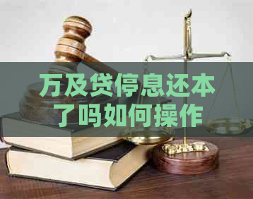 万及贷停息还本了吗如何操作