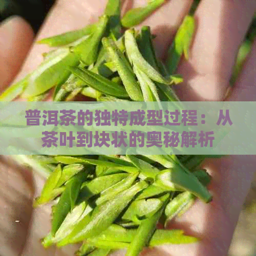 普洱茶的独特成型过程：从茶叶到块状的奥秘解析