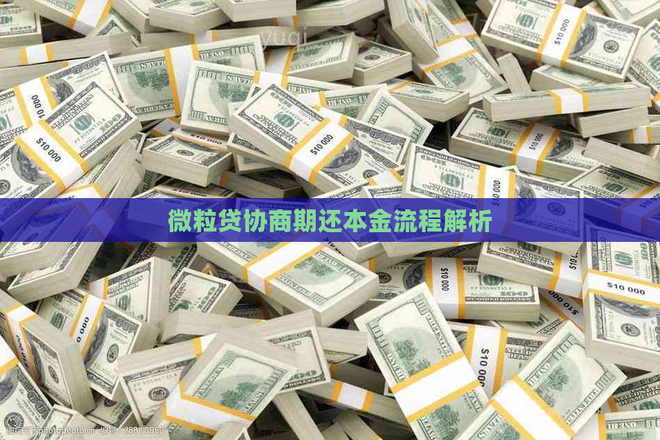 微立贷协商期还本金流程解析