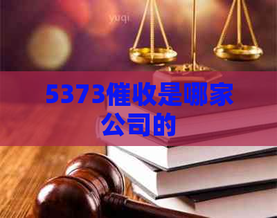 5373是哪家公司的