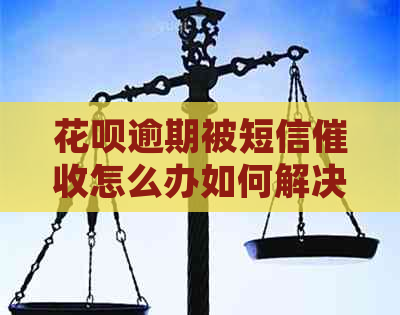 花呗逾期被短信怎么办如何解决