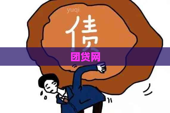 团贷网