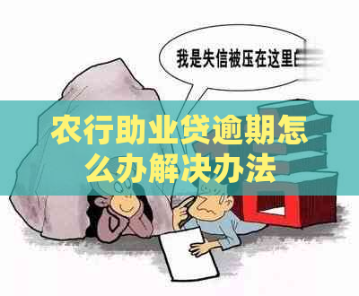 农行助业贷逾期怎么办解决办法