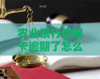 农业银行信用卡逾期了怎么跟银行协商解决