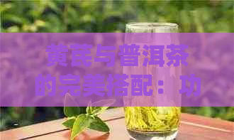 黄芪与普洱茶的完美搭配：功效、冲泡方法和注意事项一览无余