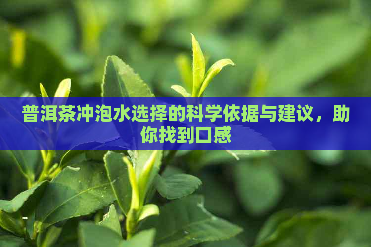 普洱茶冲泡水选择的科学依据与建议，助你找到口感