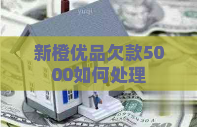 新橙优品欠款5000如何处理