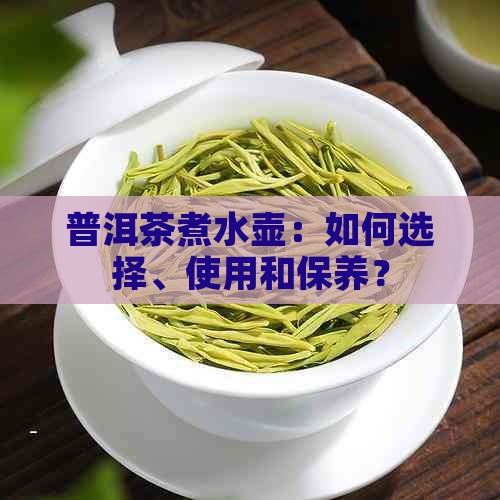 普洱茶煮水壶：如何选择、使用和保养？