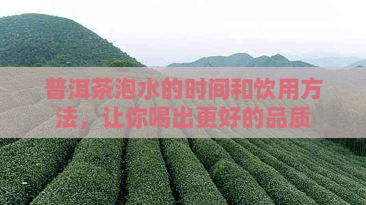 普洱茶泡水的时间和饮用方法，让你喝出更好的品质