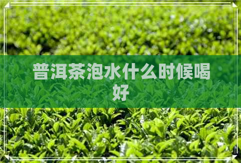 普洱茶泡水什么时候喝好