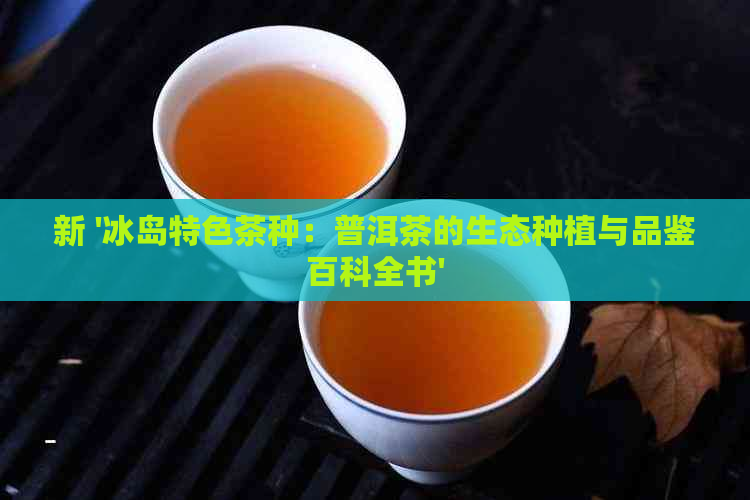 新 '冰岛特色茶种：普洱茶的生态种植与品鉴百科全书'