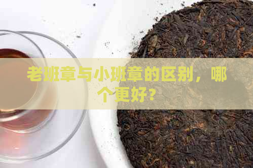 老班章与小班章的区别，哪个更好？