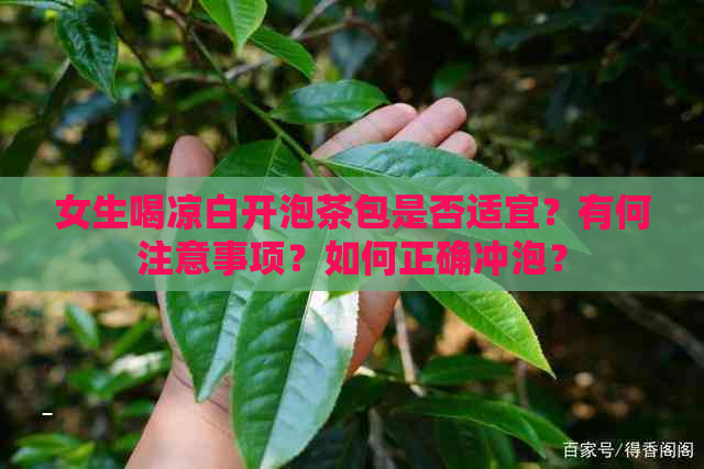 女生喝凉白开泡茶包是否适宜？有何注意事项？如何正确冲泡？