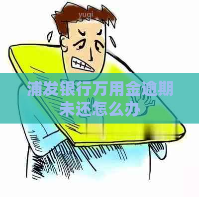 浦发银行万用金逾期未还怎么办