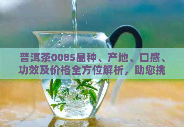 普洱茶0085品种、产地、口感、功效及价格全方位解析，助您挑选合适普洱茶