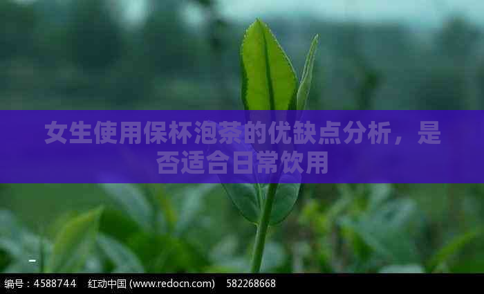 女生使用保杯泡茶的优缺点分析，是否适合日常饮用