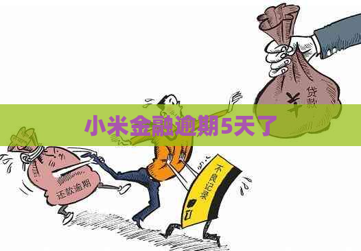 小米金融逾期5天了